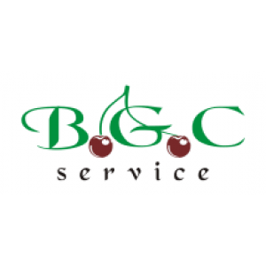 BGC SERVICE