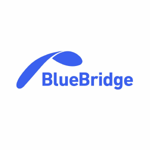 Blue Bridge Code