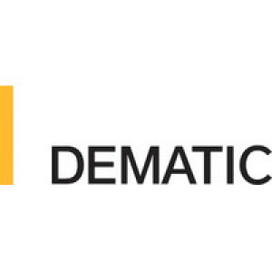 Dematic Kaunas, Dematic Limited Filialas